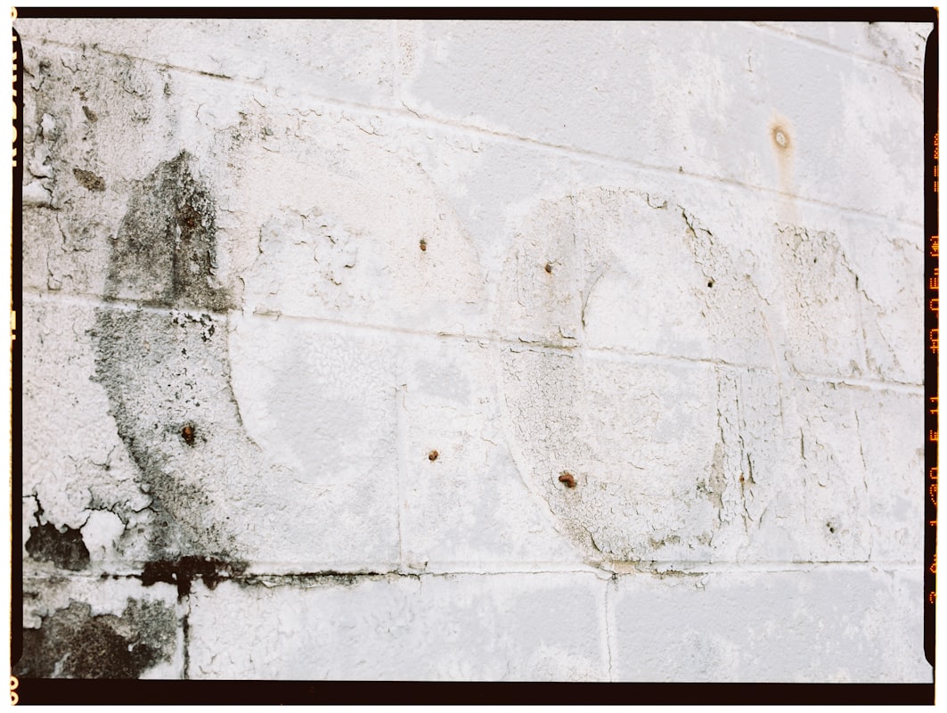 Flood Cleanup service in Fountainebleau, FL